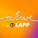 LAPP digital googledisplay-ad profile